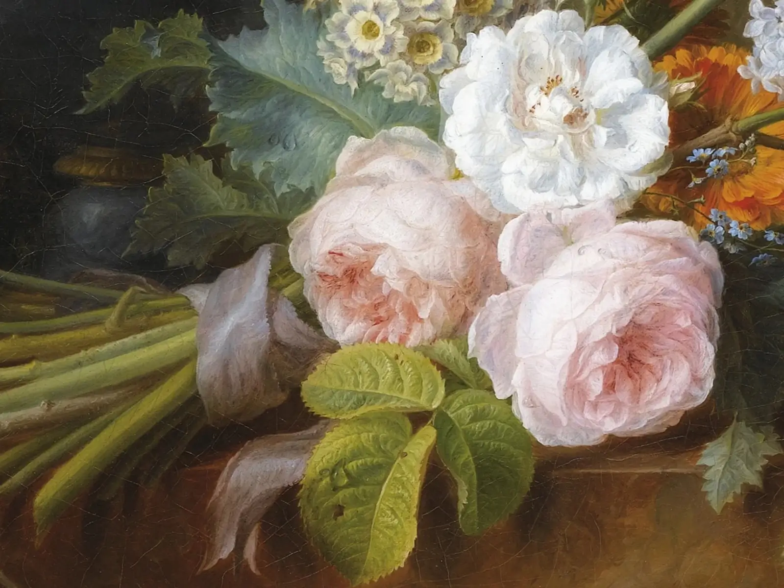 ¿A dónde perteneces, rosa?